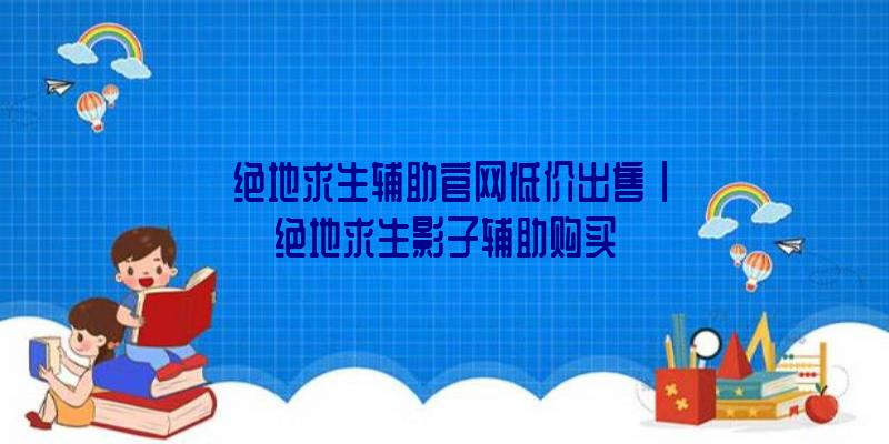 「绝地求生辅助官网低价出售」|绝地求生影子辅助购买